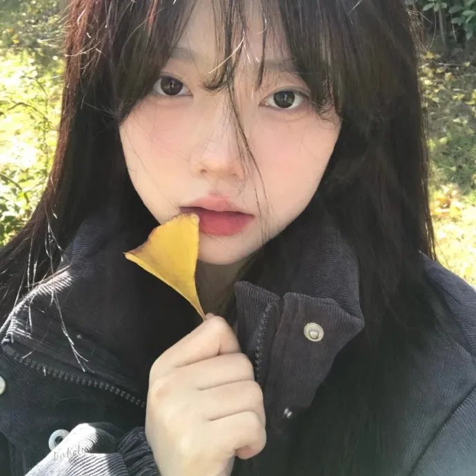 布烈松大道